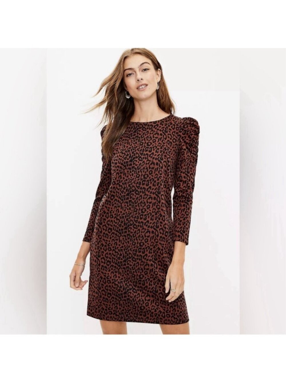 LOFT Women's Leopard Print Ruched‎ Sleeve Shift Dress